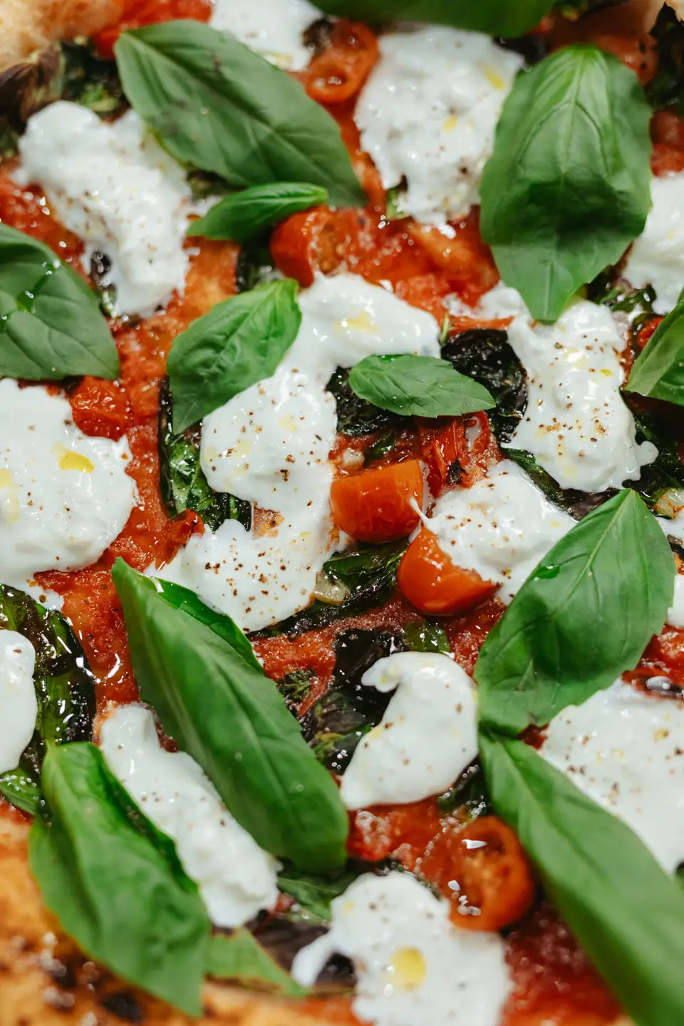 Pizza z burratą, bazylią i pomidorami prosto z pieca w Publicznej